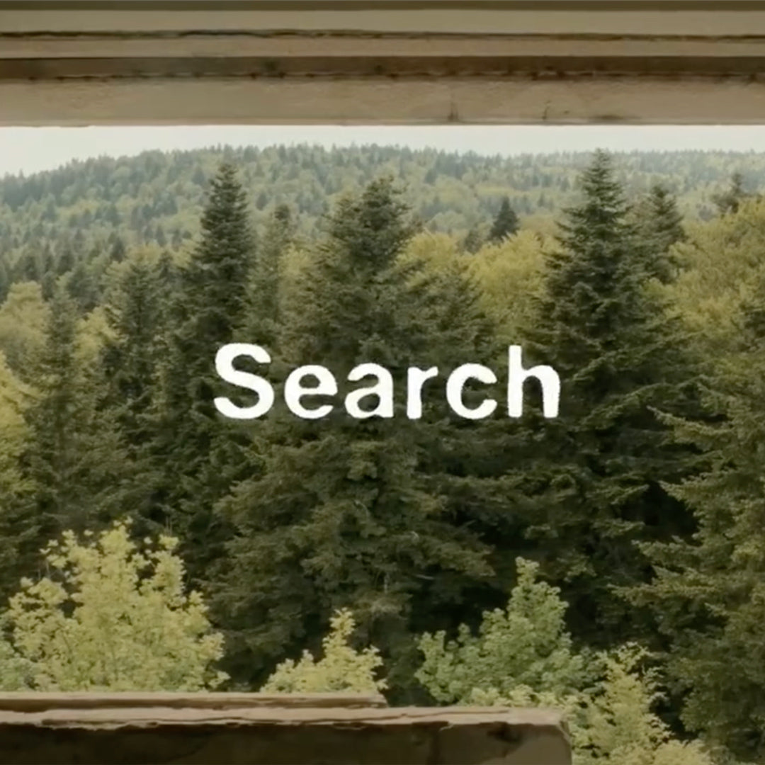 "SEARCH" AN ELEMENT AUDIOVISUAL PROJECT