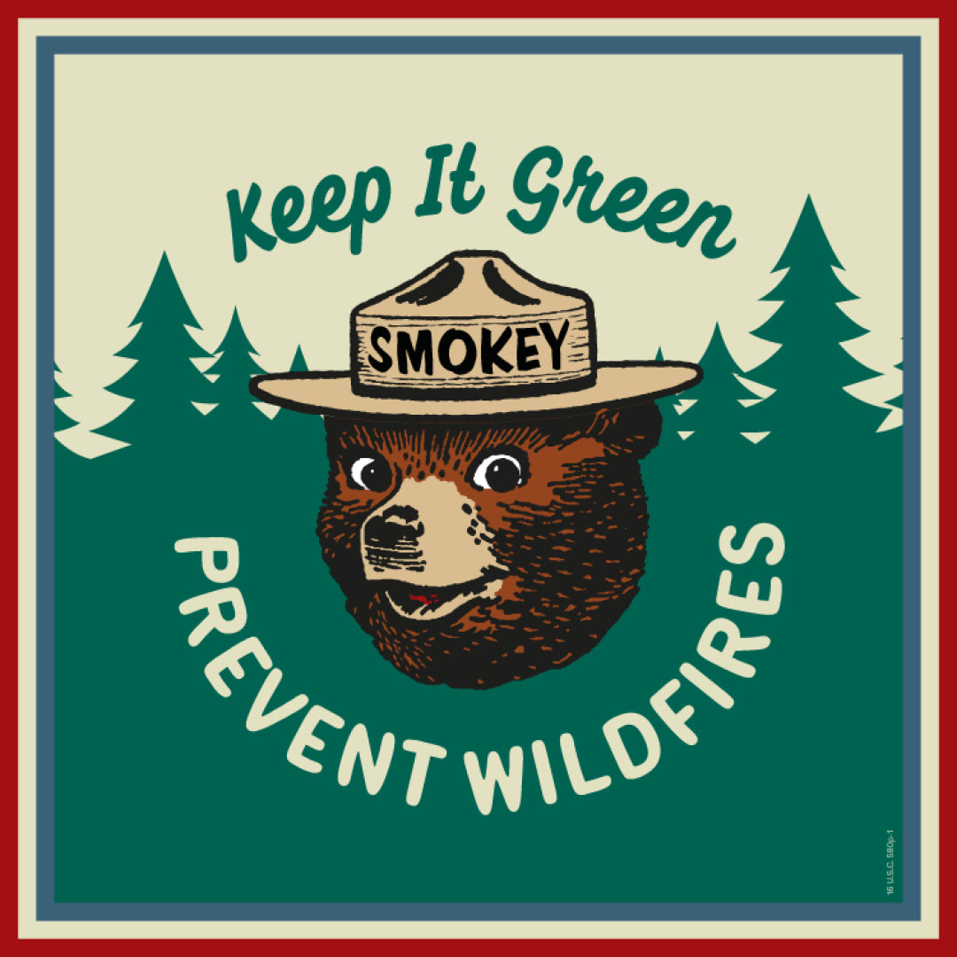 SMOKEY BEAR ELEMENT ｜Boardriders Japan