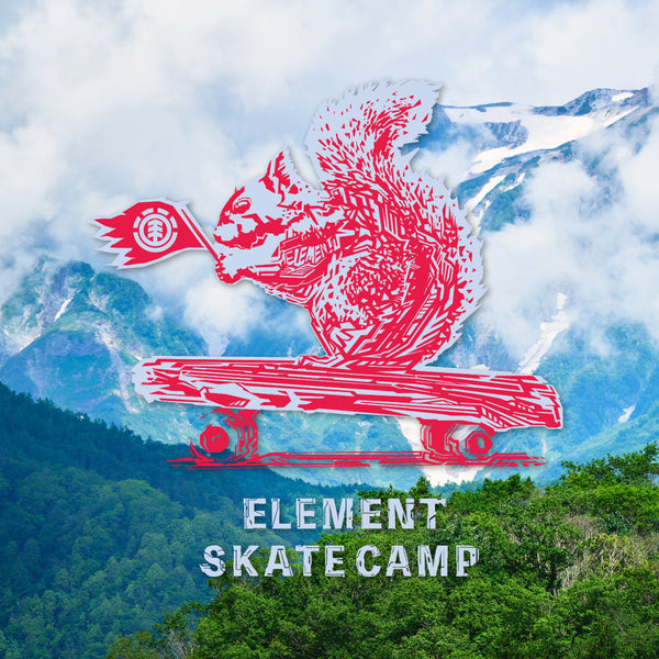 ELEMENT SKATE CAMPが今年も開催決定！