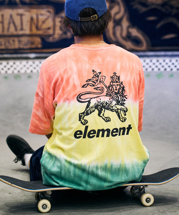 ELEMENT メンズ RASTA GRADE SS Tシャツ 【2026年夏モデル】