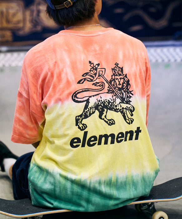Element Sicks 832 ニッコリGoods Tシャツ ELEMENT メンズ RASTA GRADE SS Tシャツ 【2026年夏モデル】