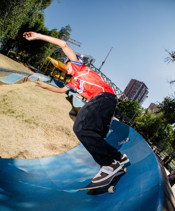 DC SHOES メンズ MANTECA 4 S シューズ 【2026年春夏モデル】
