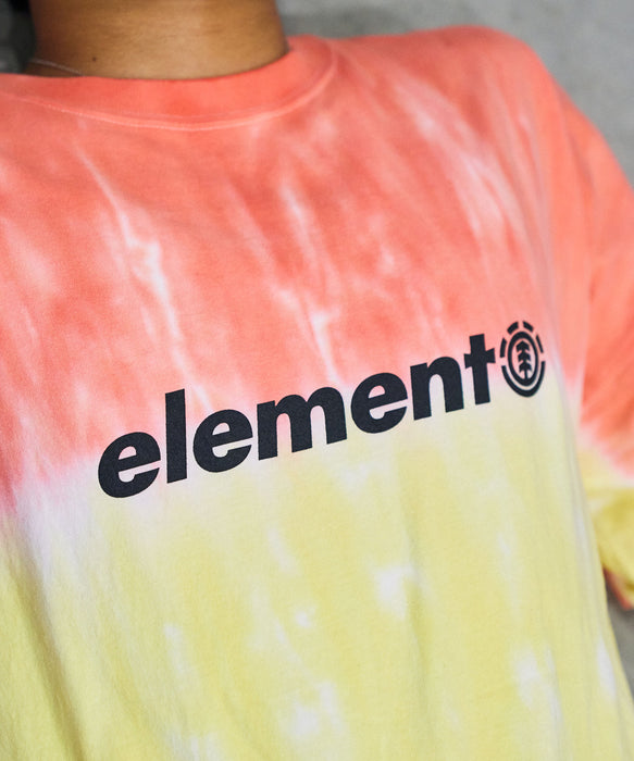 ELEMENT メンズ RASTA GRADE SS Tシャツ 【2026年夏モデル】