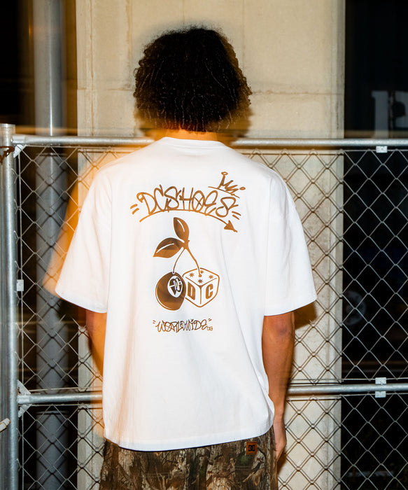 DC SHOES メンズ 26 GAME SS Tシャツ 【2026年春夏モデル】
