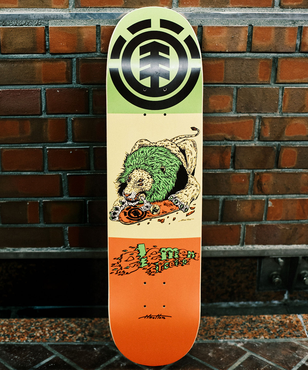 ELEMENT スケートボード 《8 inch》HIROTTON LION デッキ 【2026年春夏