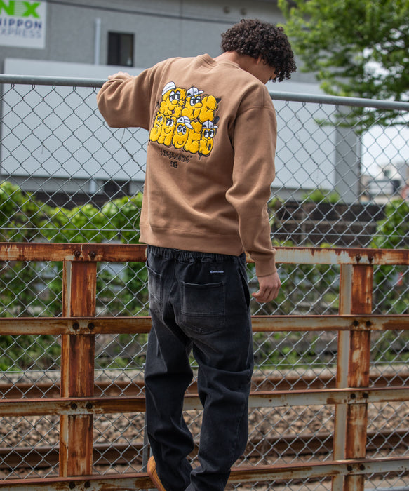 週末限定！トレーナー関係の専門書です。 DC SHOES メンズ 26 SK TEAM CREW トレーナー 【2026年秋冬モデル】