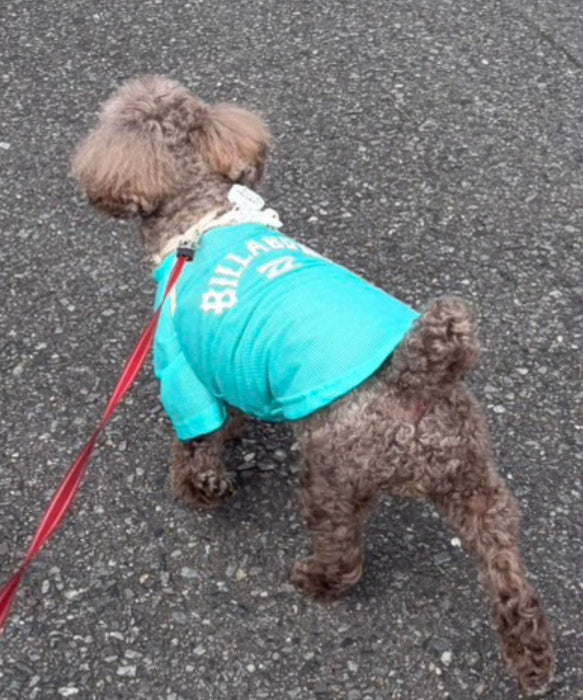 BILLABONG 【DOG WEAR】ANTI BUG DOG MESH 【虫よけ加工】Tシャツ【2026年春夏モデル】