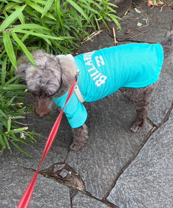 BILLABONG 【DOG WEAR】ANTI BUG DOG MESH 【虫よけ加工】Tシャツ【2026年春夏モデル】