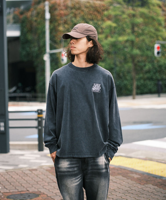 SALE】【直営店限定】ELEMENT メンズ TIGER LS ロンT 【2026年春夏モデル】