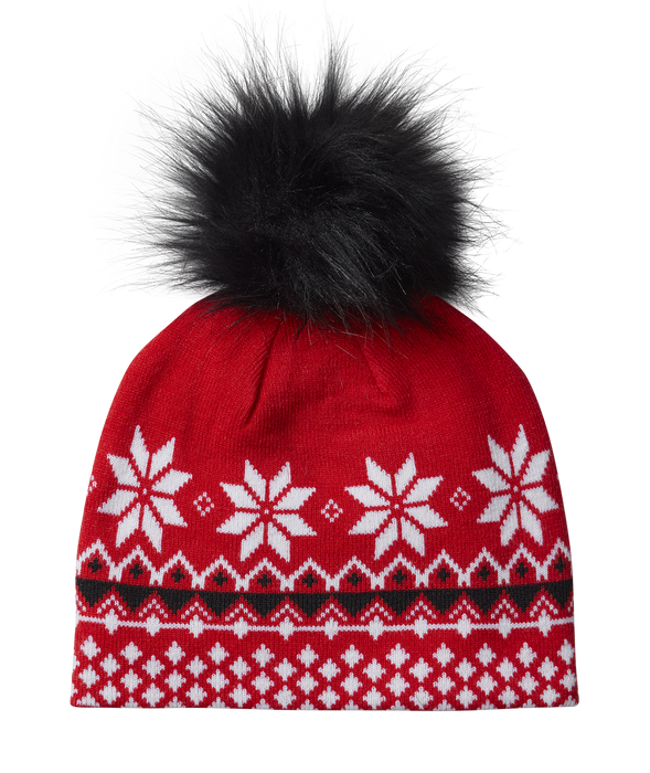 SPYDER ウィメンズ MOUNTAIN HAT ビーニー