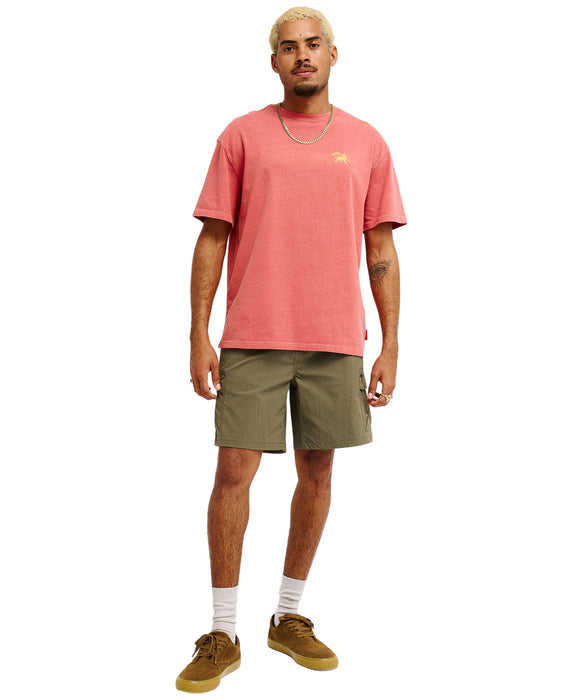 QUIKSILVER メンズ  　QUIKSILVER X BOB MARLEY　  CYCLONE CARGO ショートパンツ 【2026年秋冬モデル】