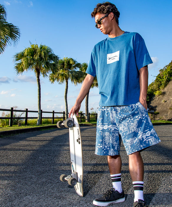 QUIKSILVER メンズ/ユニセックス MERCURY PAISLEY BOX ST 半袖Tシャツ
