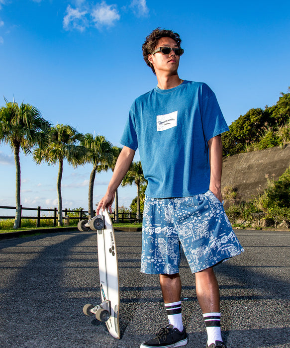 QUIKSILVER メンズ/ユニセックス MERCURY PAISLEY BAGGY SWEAT SHORTS