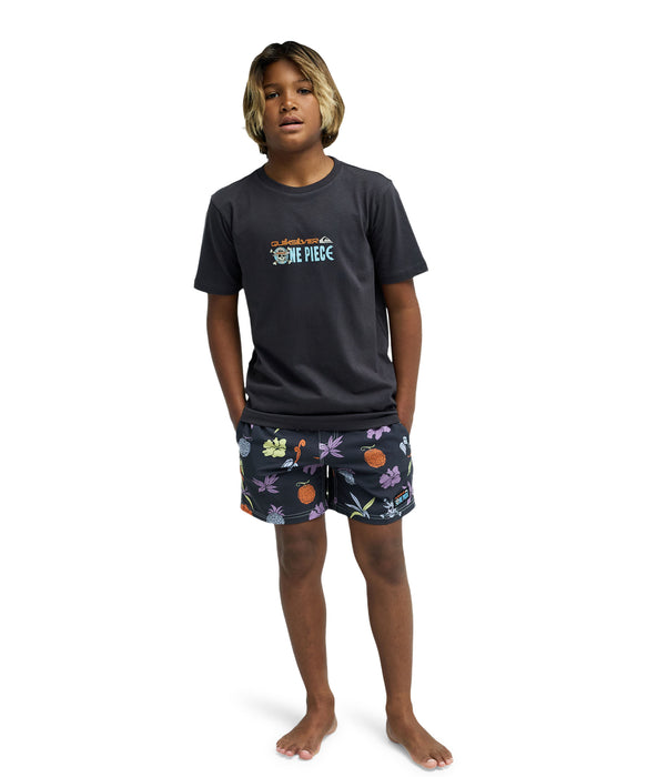 【ONE PIECE X QUIKSILVER】
OPQS PIRATES ISLAND SS Y
キッズ・ユース Tシャツ