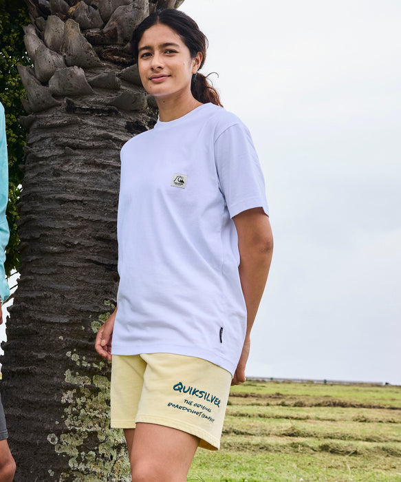 QUIKSILVER メンズ/ユニセックス BW HISTORY FRAME ST 半袖コットンTシャツ レギュラーフィット【2026年春夏モデル】