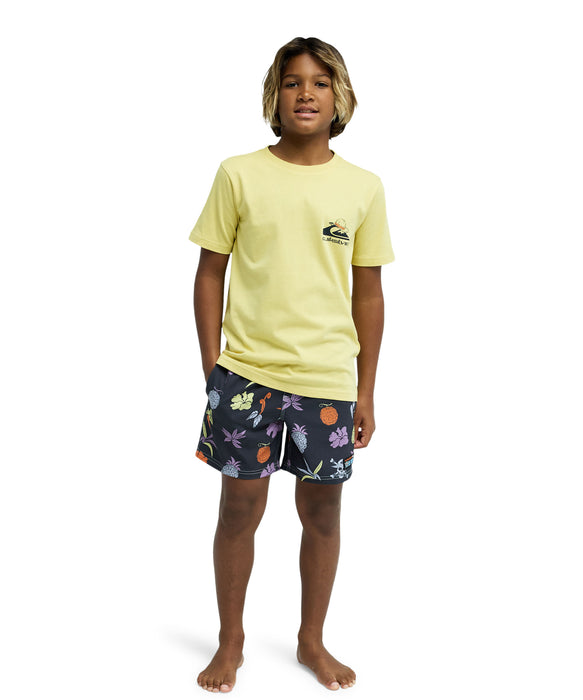 【ONE PIECE X QUIKSILVER】
OPQS MERRY SS Y
キッズ・ユース Tシャツ