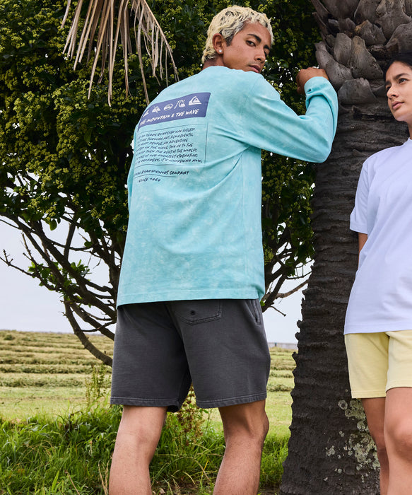 QUIKSILVER メンズ/ユニセックス BW HISTORY FRAME LT 長袖Tシャツ ロンT レギュラーフィット【2026年春夏モデル】