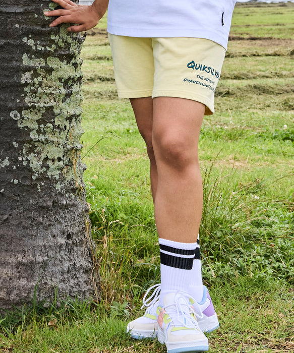 QUIKSILVER メンズ PG HAND DRAWN SWEAT SHORTS ショートパンツ 【2026年春夏モデル】