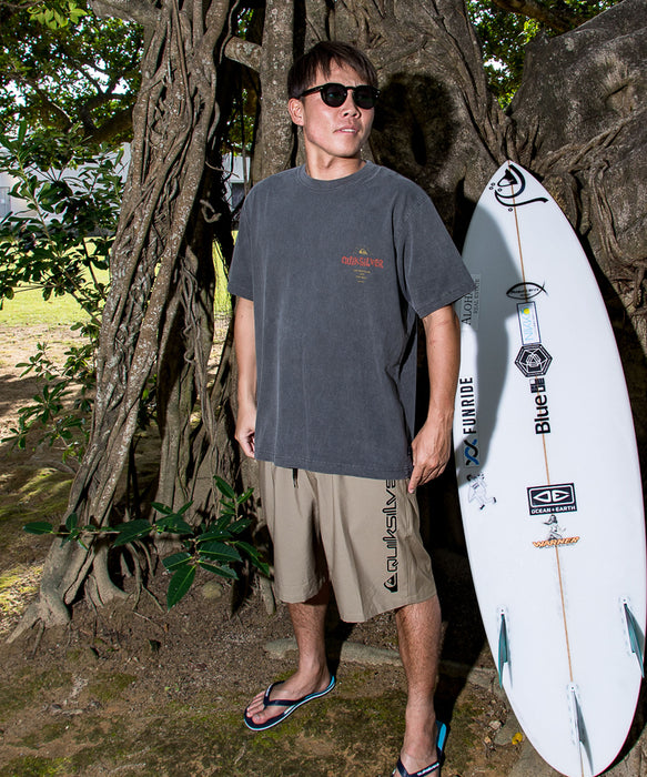QUIKSILVER メンズ COLOR BLOCK VOLLEY 20NB ジャムボードショーツ