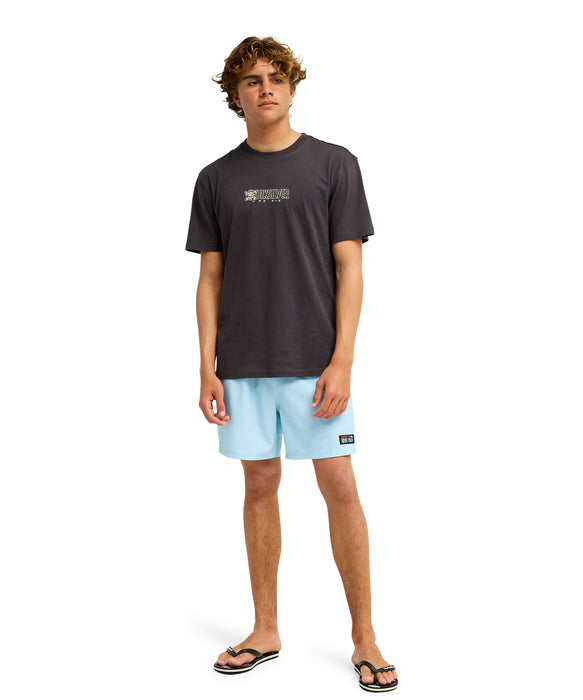 【ONE PIECE X QUIKSILVER】
OPQS WANTED SS
メンズ Tシャツ