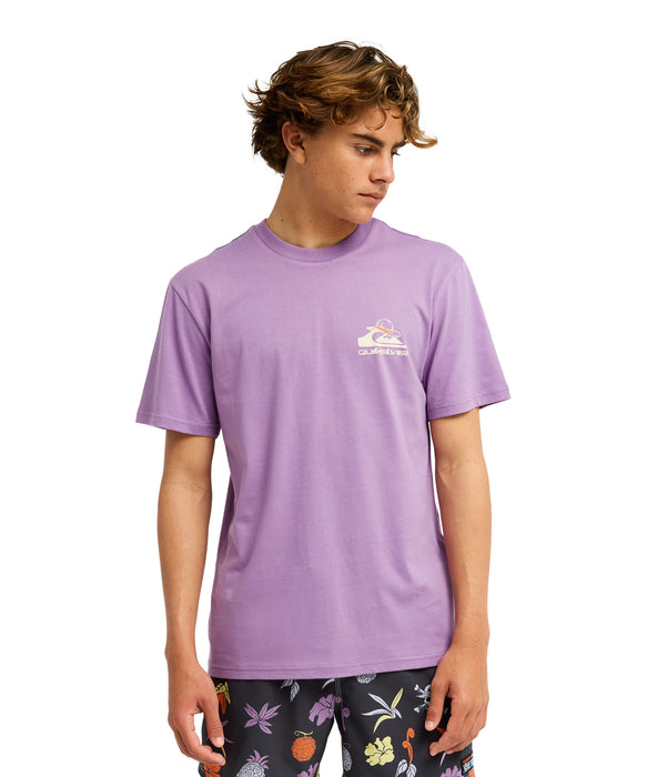 ONE PIECE X QUIKSILVER】 OPQS MERRY SS メンズ Tシャツ