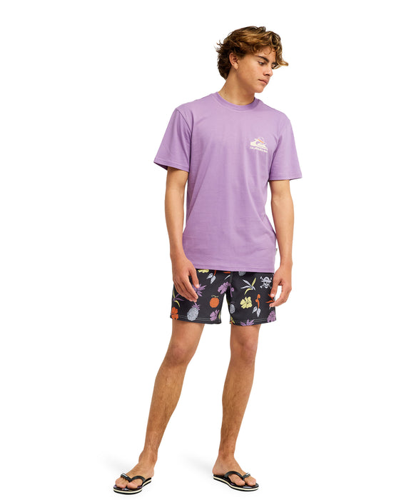 【ONE PIECE X QUIKSILVER】
OPQS MERRY SS
メンズ Tシャツ