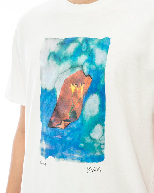 【OUTLET】RVCA メンズ 【COLIN SUSSINGHAM】 FLOAT Ｔシャツ【2023年夏モデル】