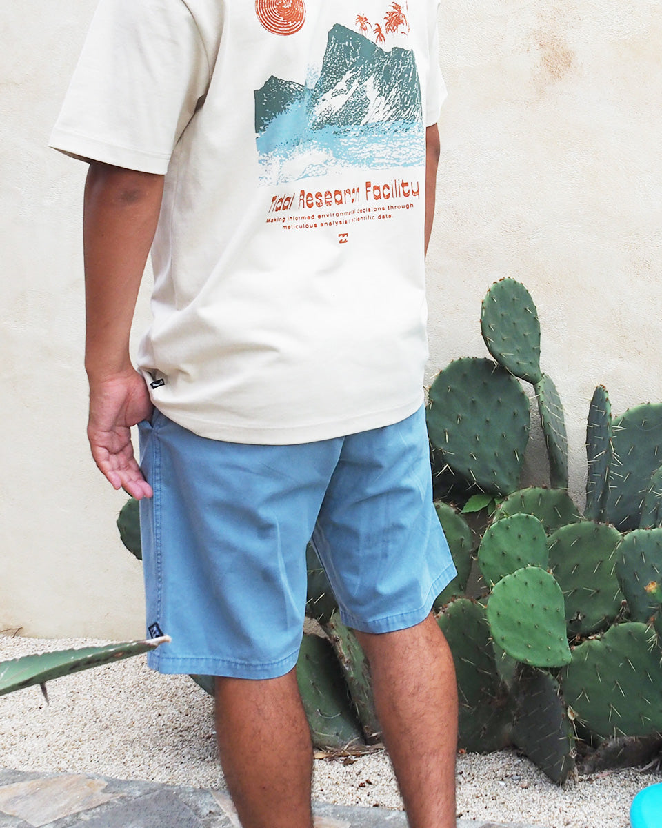 BILLABONG STILL FILTHY