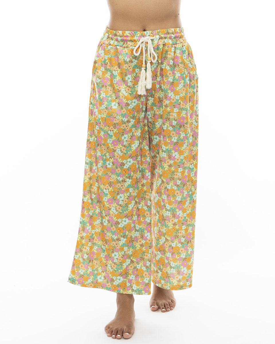 BE013870-2024S-m-02-