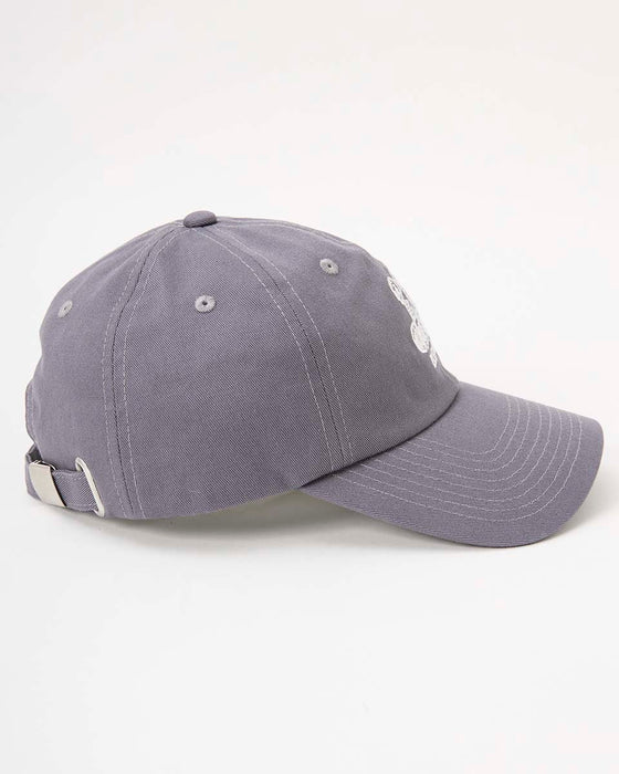 ELEMENT キッズ TIMBER 3 CAP YOUTH キャップ GRY 【2024年秋冬モデル】