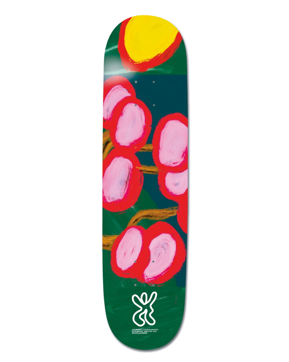 BE027036-AST-2024F-m-01-