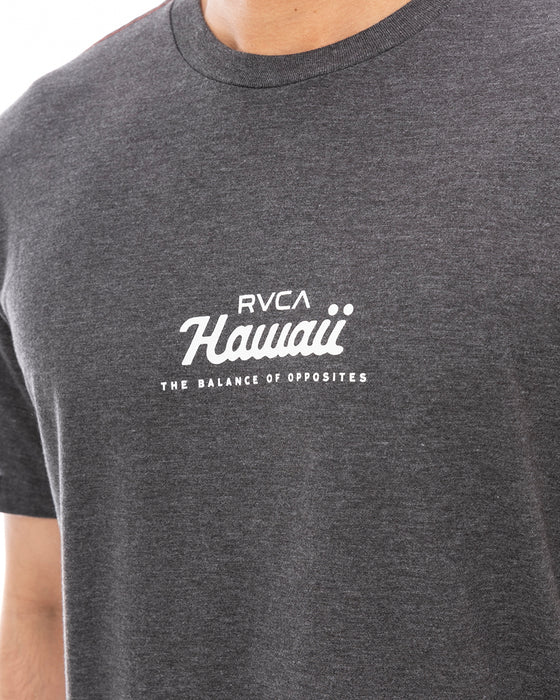 RVCA メンズ 【HAWAII】 ISLAND TIME SS Ｔシャツ 【2024年夏モデル】