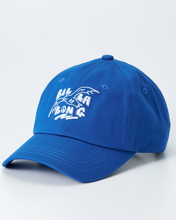 【OUTLET】BILLABONG メンズ 【BB GALLERY】 【ZACK BALANG】SEAGULL CAP キャップ 【2025年春夏モデル】