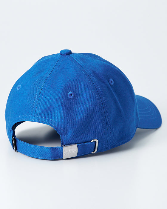 【OUTLET】BILLABONG メンズ 【BB GALLERY】 【ZACK BALANG】SEAGULL CAP キャップ 【2025年春夏モデル】