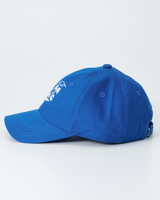 【OUTLET】BILLABONG メンズ 【BB GALLERY】 【ZACK BALANG】SEAGULL CAP キャップ 【2025年春夏モデル】