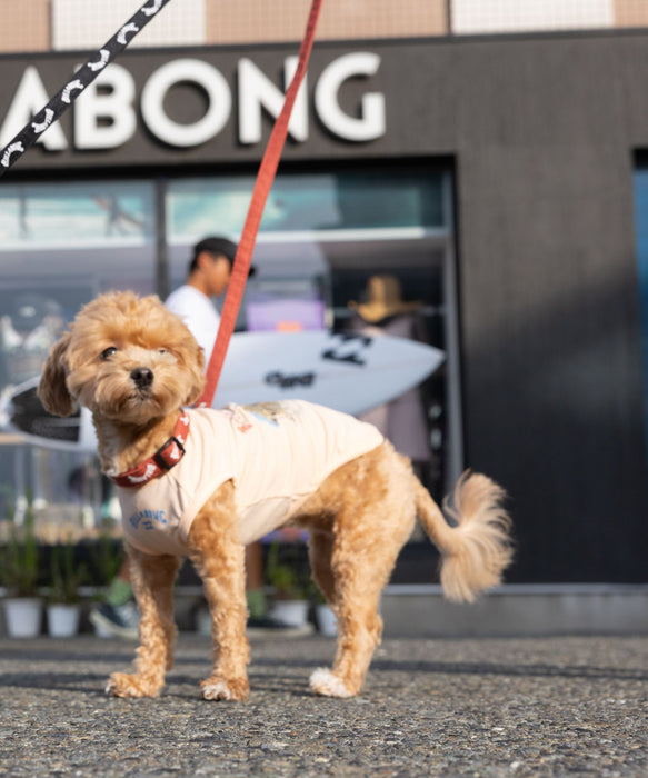 BILLABONG 【DOG WEAR】POSTER ART DOG タンクトップ 【2026年春夏モデル】