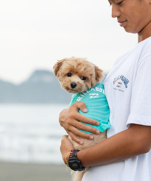 BILLABONG 【DOG WEAR】ANTI BUG DOG MESH 【虫よけ加工】Tシャツ【2026年春夏モデル】