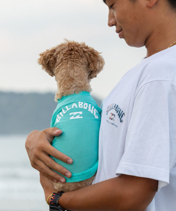 BILLABONG 【DOG WEAR】ANTI BUG DOG MESH 【虫よけ加工】Tシャツ【2026年春夏モデル】