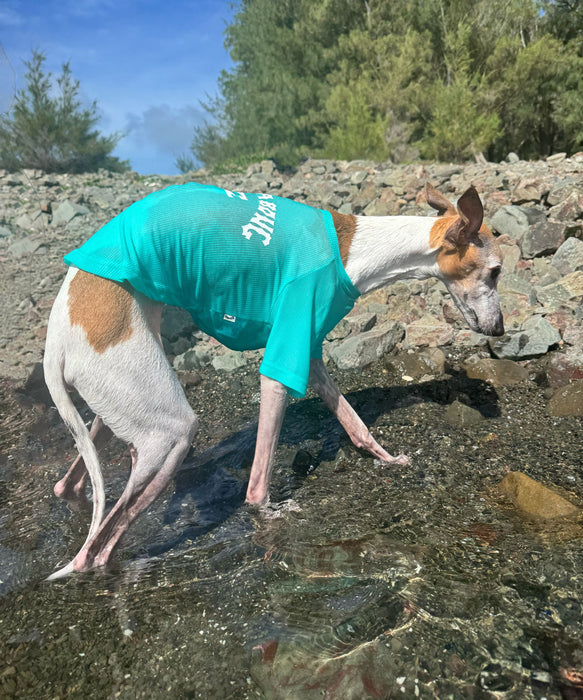 BILLABONG 【DOG WEAR】ANTI BUG DOG MESH 【虫よけ加工】Tシャツ【2026年春夏モデル】