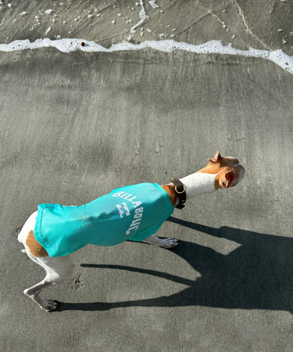BILLABONG 【DOG WEAR】ANTI BUG DOG MESH 【虫よけ加工】Tシャツ【2026年春夏モデル】