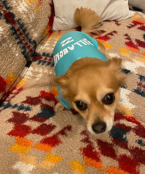 BILLABONG 【DOG WEAR】ANTI BUG DOG MESH 【虫よけ加工】Tシャツ【2026年春夏モデル】