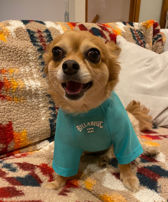 BILLABONG 【DOG WEAR】ANTI BUG DOG MESH 【虫よけ加工】Tシャツ【2026年春夏モデル】