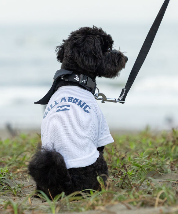 BILLABONG 【DOG WEAR】ANTI BUG DOG MESH 【虫よけ加工】Tシャツ【2026年春夏モデル】