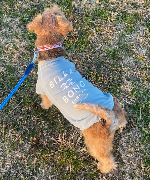 BILLABONG 【DOG WEAR】ONE TIME DOG ラッシュガード【2026年春夏モデル】