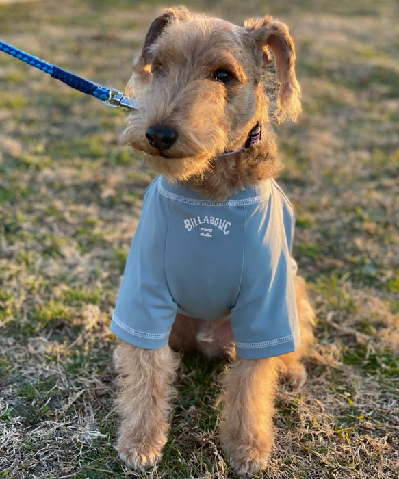 BILLABONG 【DOG WEAR】ONE TIME DOG ラッシュガード【2026年春夏モデル】