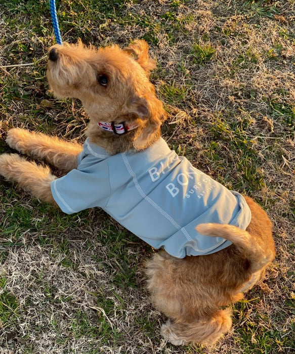 BILLABONG 【DOG WEAR】ONE TIME DOG ラッシュガード【2026年春夏モデル】