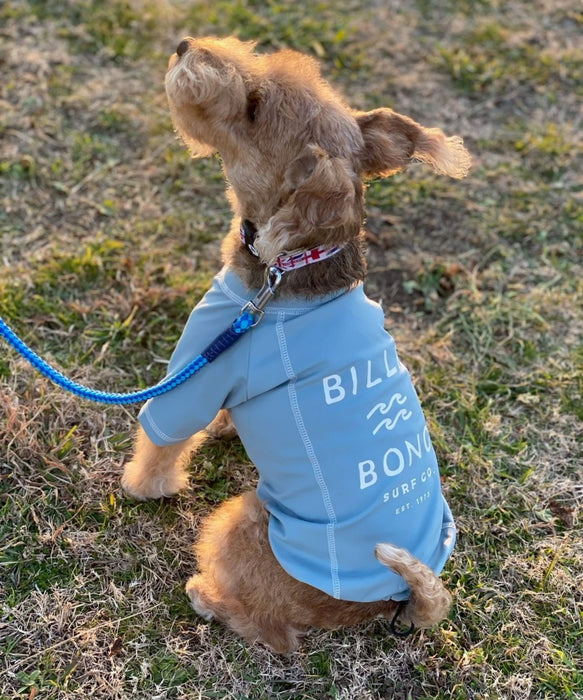 BILLABONG 【DOG WEAR】ONE TIME DOG ラッシュガード【2026年春夏モデル】