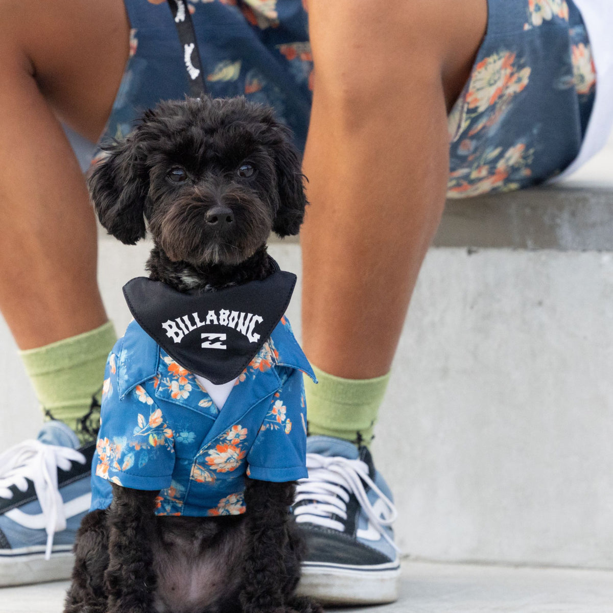 BILLABONG【DOG WEAR】 ALOHA DOG シャツ【2026年春夏モデル】