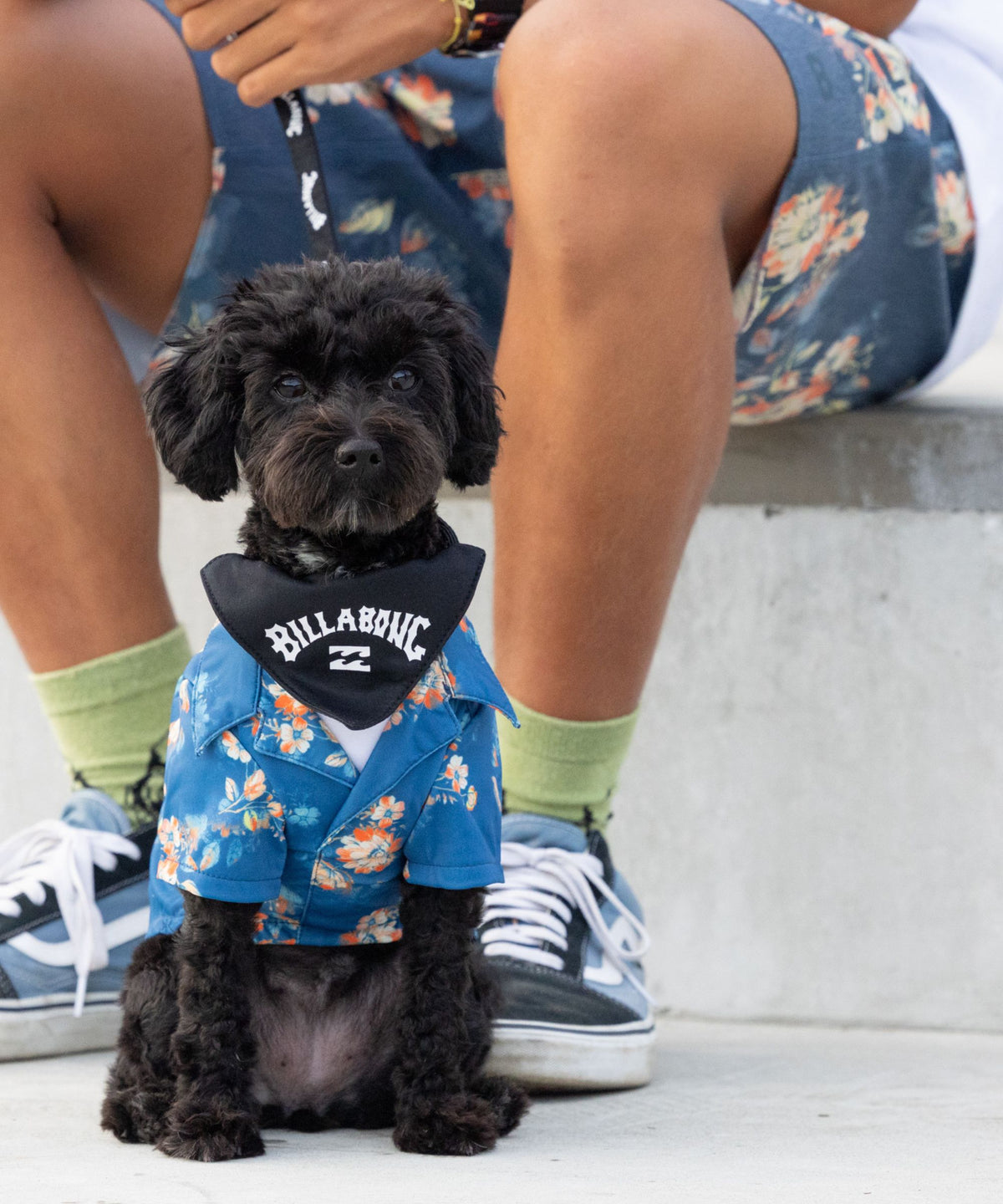 BILLABONG【DOG WEAR】 ALOHA DOG シャツ【2026年春夏モデル】
