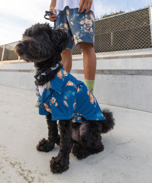 BILLABONG【DOG WEAR】 ALOHA DOG シャツ【2026年春夏モデル】